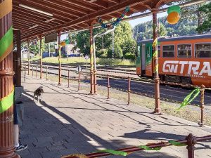 Obnovení vlakového provozu do Vrbna p. P. (15. 6. 2025). Autor: Jitka Štěrbová