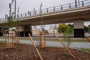 Estakáda u Výstaviště dva týdny před zahájením provozu. Foto: Ropid