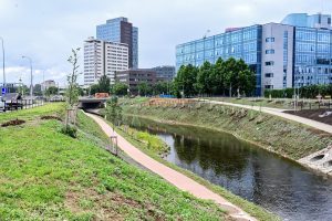 Náplavka Brno.Zdroj: Markéta Vaňková