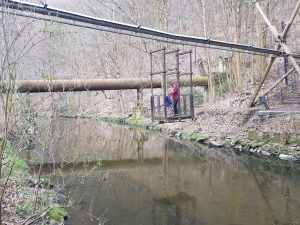 Transbordér přes Nisu. Foto: Jan Sůra / Zdopravy.cz