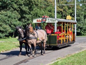 Testování koněspřežné tramvaje na obratišti Červený vrch a Evropské třídě. Foto: Zdopravy.cz, Jan Nevyhoštěný