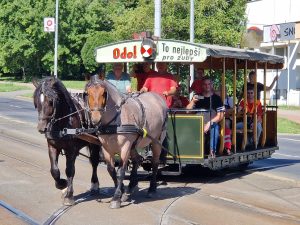 Testování koněspřežné tramvaje na obratišti Červený vrch a Evropské třídě. Foto: Zdopravy.cz, Jan Nevyhoštěný