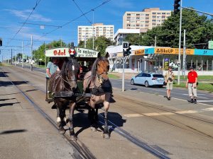 Testování koněspřežné tramvaje na obratišti Červený vrch a Evropské třídě. Foto: Zdopravy.cz, Jan Nevyhoštěný