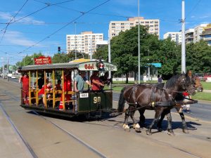 Testování koněspřežné tramvaje na obratišti Červený vrch a Evropské třídě. Foto: Zdopravy.cz, Jan Nevyhoštěný