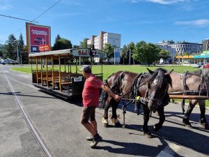 Testování koněspřežné tramvaje na obratišti Červený vrch a Evropské třídě. Foto: Zdopravy.cz, Jan Nevyhoštěný
