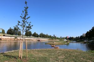 Nové koryto Vltavy a Sluneční ostrovy v ČB. Pramen: Město České Budějovice