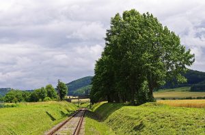 Trať Kłodzko Nowe- stacją Stronie Śląskie. Foto: Grad / Wikimedia Commons