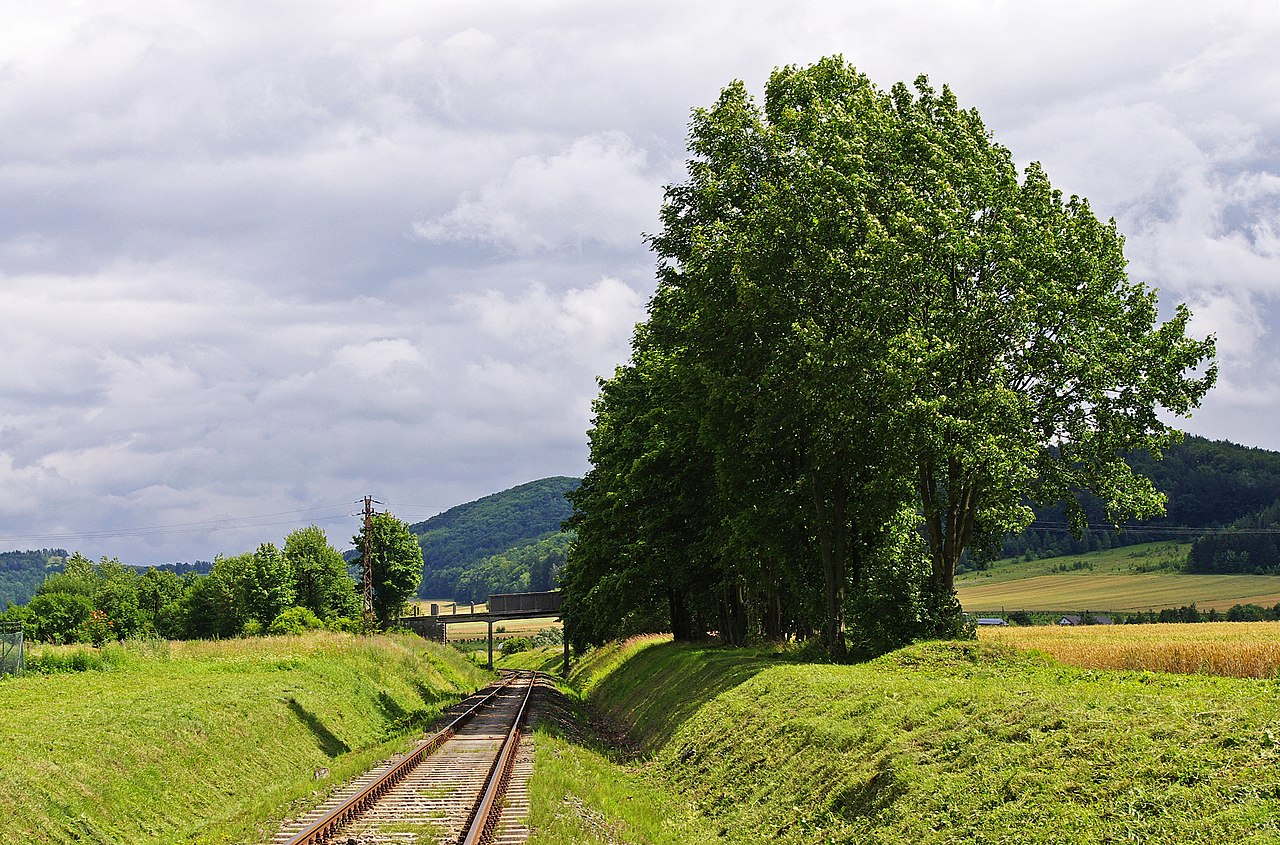 Trať Kłodzko Nowe- stacją Stronie Śląskie. Foto: Grad / Wikimedia Commons