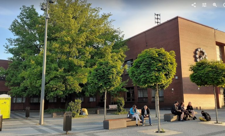 Javor u pardubického nádraží. Foto: Chráním stromy