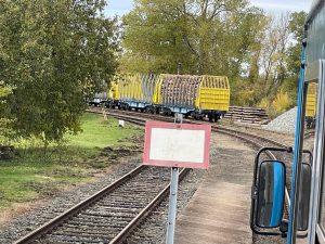 Vagony se dřevem v Toužimi. Autor: Zdopravy.cz/Ondřej Kubala