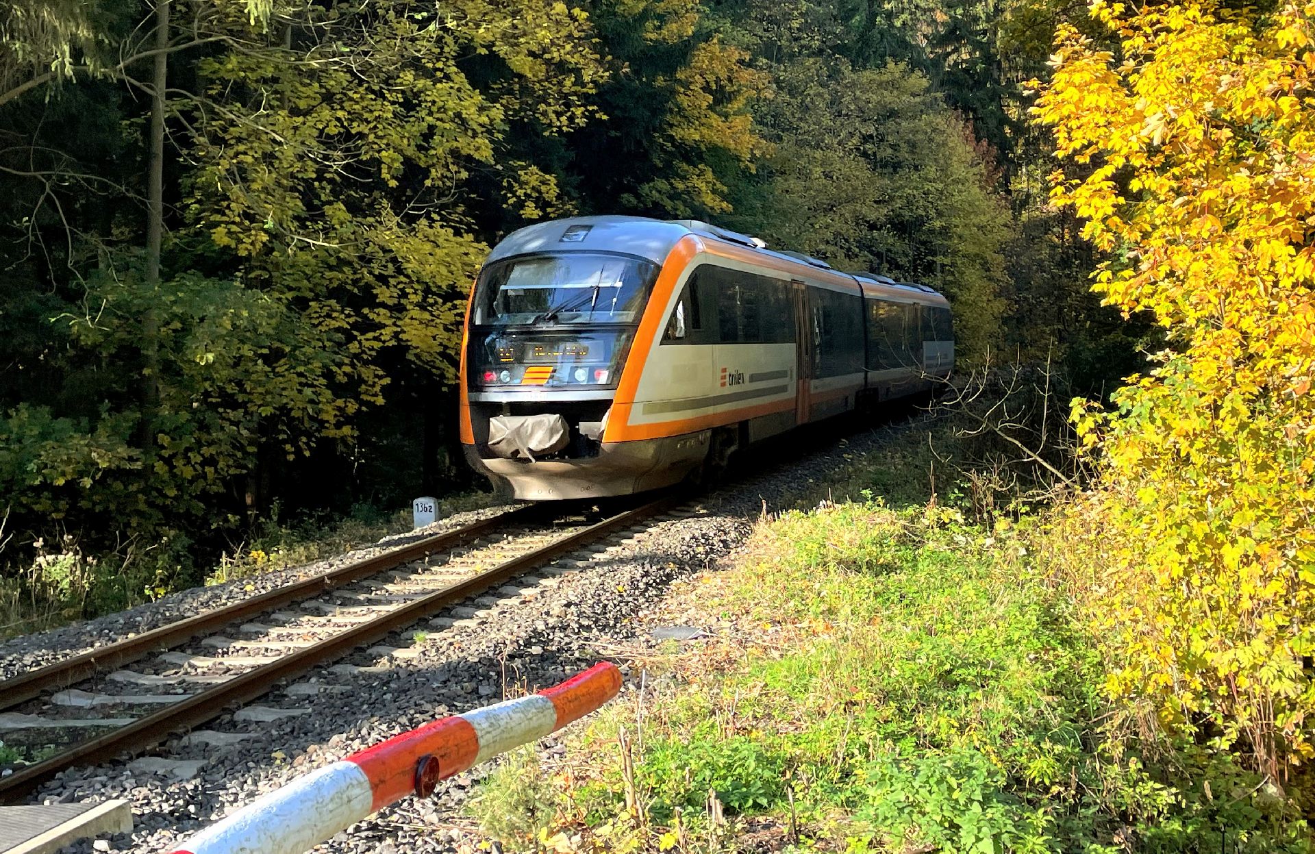 Jednotka Siemens Desiro společnosti Die Länderbahn u Karlova pod Ještědem. Foto: Jan Sůra / Zdopravy.cz