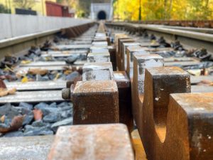 Nová ozubnice v dopravně Dolní Polubný. Foto: Jan Sůra / Zdopravy.cz