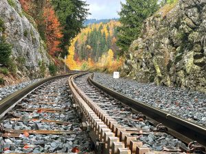 Ozubnice bude využívána jen historickou lokomotivou, motorové vozy Stadler RS1 jízdu po trati s tak velkým sklonem zvládají i bez ozubnice. Foto: Jan Sůra / Zdopravy.cz