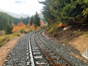 Zubačka nedaleko Bienertova kříže. Foto: Jan Sůra / Zdopravy.cz