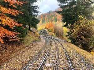 Podzim na opravené zubačce. Foto: Jan Sůra / Zdopravy.cz