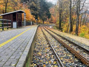 Zastávka Desná-Pustinská. Foto: Jan Sůra / Zdopravy.cz