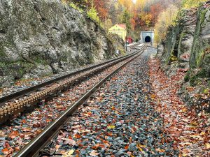 Před dopravnou Dolní Polubný. Foto: Jan Sůra /Zdopravy.cz