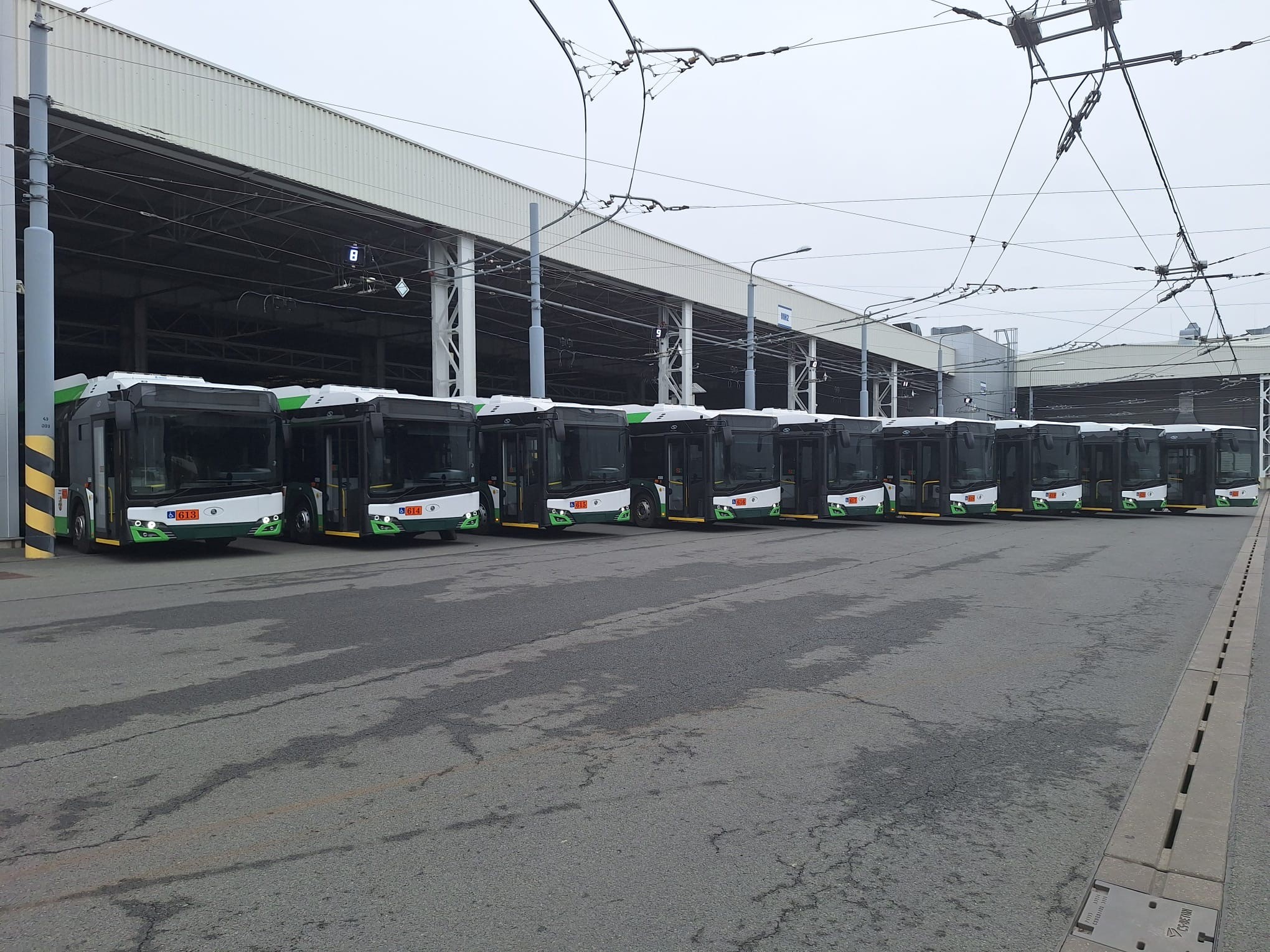 Nové trolejbusy pro Plzeň. Foto: PMDP