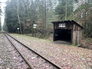 Železniční zastávka Dolní Radouň na jindřichohradecké úzkokolejce. Autor: Zdopravy.cz/Jan Šindelář