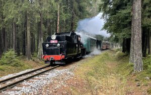 Mikulášský parní vlak na trati J. Hradec - Kamenice nad Lipou. Autor: Zdopravy.cz/Jan Šindelář