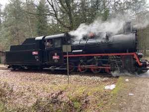 Mikulášský parní vlak na trati J. Hradec - Kamenice nad Lipou. Autor: Zdopravy.cz/Jan Šindelář