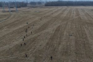 Odchyt zajíců kvůli nasazení GPS obojků. Foto: ČZU