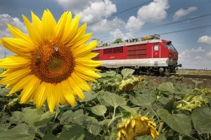 Lokomotiva 350 ZSSK. Zdroj: ZSSK