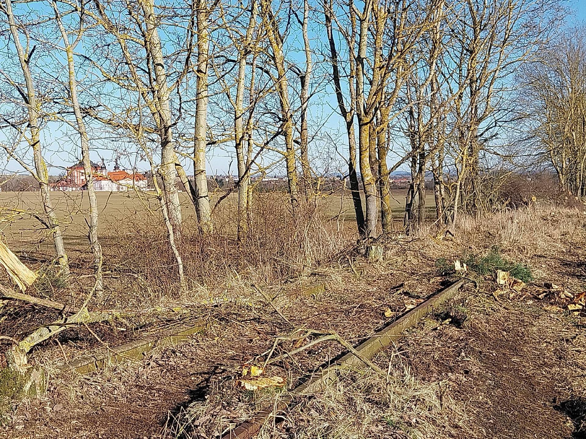 Kácení stromů na trati Mladotice - Kralovice. Foto: Místní dráhy Rakovník - Mladotice